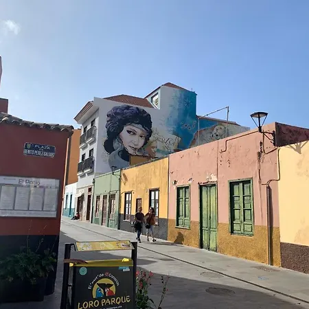 San Pedro Family Daire Puerto de la Cruz (Tenerife)